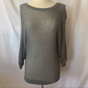 Express Shimmer Doleman Top